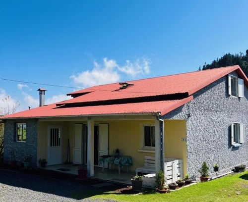 La Plaine des Cafres House | Gîte Hydrangea 974