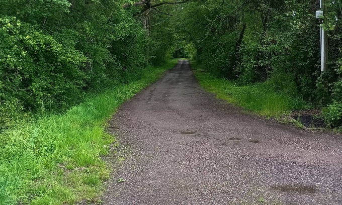 Saint-Parize-le-Chatel House | Gîte Indépendant Pouvant Accueillir Jusqu'à 4 Personnes, Situé Dans une Forêt
