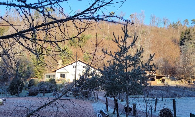 Soucht Other | Gîte mon Chez moi Avec Ânes et Chevaux Pour Randonner en Forêt