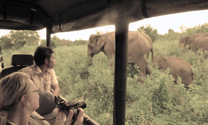 Udawalawa RV Rental | Gamping in Style bordering Udawalawe National park