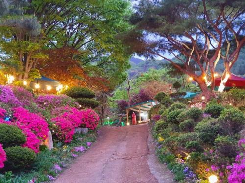 Gapyeong House | Gapyeong Kkonmuji Pension