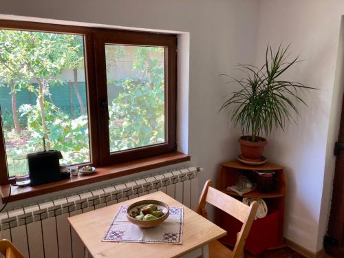 Tirgu Jiu Apartment | Garden-side apartments in Targu-Jiu