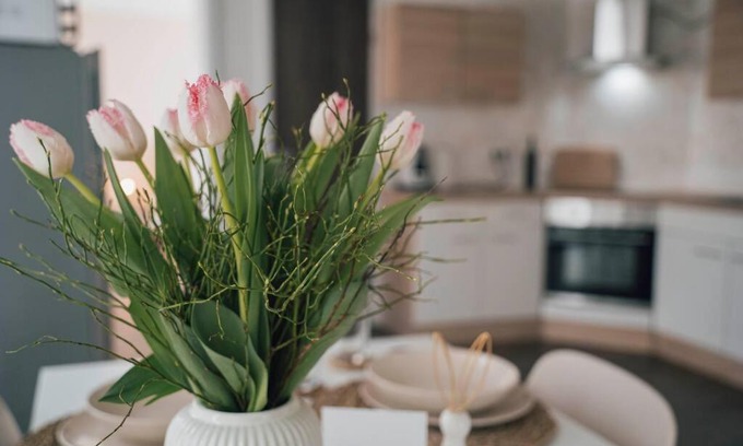 Bad Lippspringe Apartment | Gemütliche Wohnung nahe Kurpark