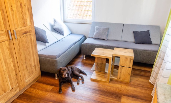 Moeckmuehl Apartment | Geräumige Wohnung für bis zu 6 Gäste. Haustiere Erlaubt