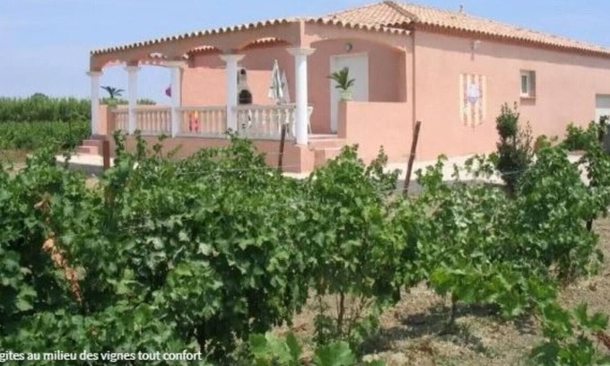 Saint-Laurent-de-la-Salanque House | Gite 3 in the heart of 6 acres of vineyard - Saint-Laurent-de-la-Salanque