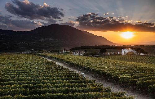 Ponte Bed & Breakfast | Giardino Delle Oche - Ocone Taburno Wine County