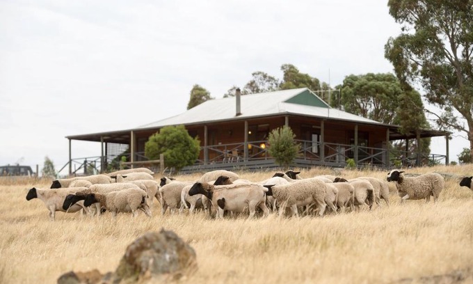 Eppalock House | Gilgraves Vineyard Farmstay