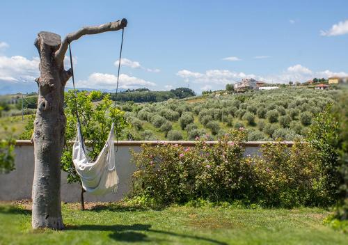 Francavilla al Mare Bed & Breakfast | GinKgo B&B