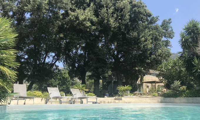 Patrimonio Apartment | Gîte for 2 in St Florent Patrimonio with swimming pool, malocationencorse