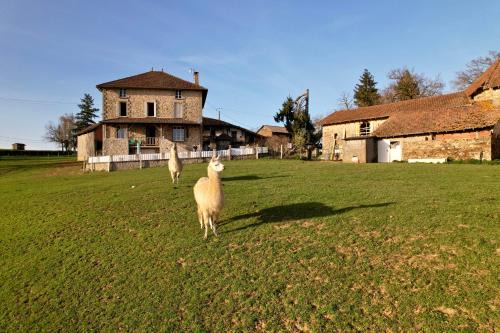 Quezac House | Gite Lamalpapoche