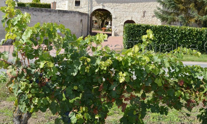 Ligre Cottage | Gite Ligré, 7 bedrooms, 15 persons