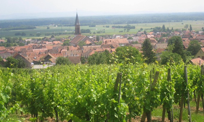 Kintzheim House | Gite on the wine route in peace with beautiful view of Kintzheim castle