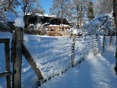 Achenheim House | Gite spacieux et cosy à la campagne proche de Strasbourg