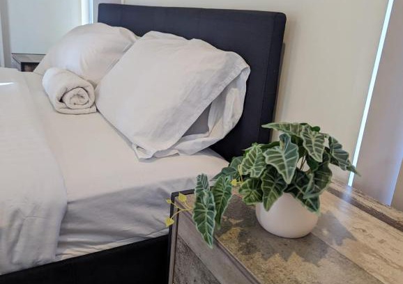 New Auckland House | Gladstone Entire House 4 Beds 2 Baths Air-conditioned in City