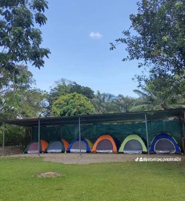 Palma Other | Glamping y Camping Zompopas Trails Costa Rica