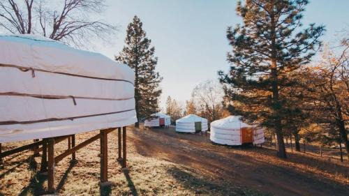 Dunlap House | Glamping yurt at Sequoia Highland Camp