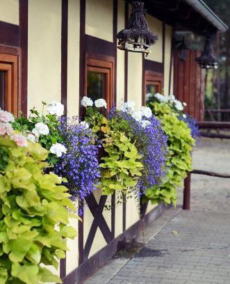 Kornik House | Gościniec Marzymięta