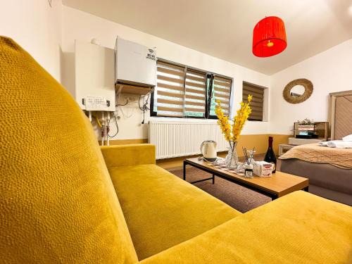 Craiova Apartment | Golden Escape - Charming Studio in Prime Location