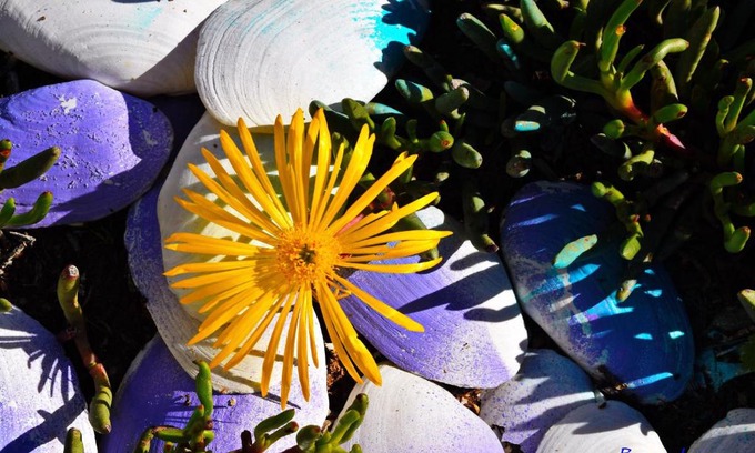 Stompneusbaai Apartment | Golden Mile Beach B&B, St Helena Bay