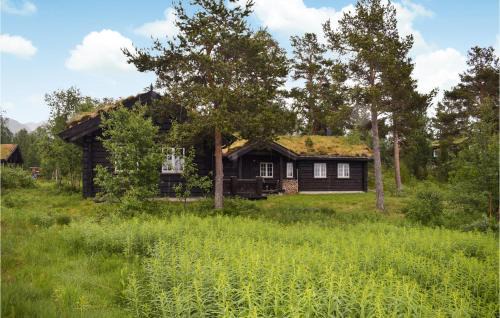 Rauland House | Gorgeous Home In Rauland With Sauna