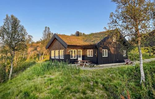 Rauland House | Gorgeous Home In Rauland With Sauna