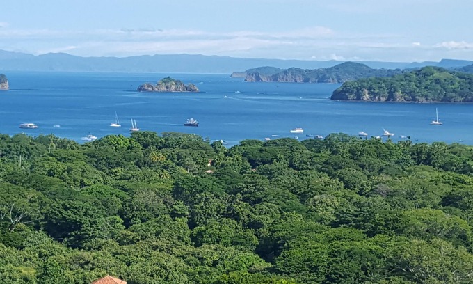 Coco Condo | Gorgeous New Ocean View Condo in CoCo Bay Estates
