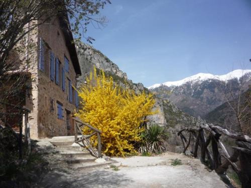 Roquebilliere House | Grange La Capretta