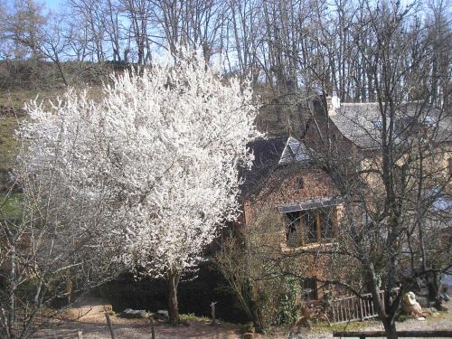 Goutrens House | grange rénovée en pleine nature