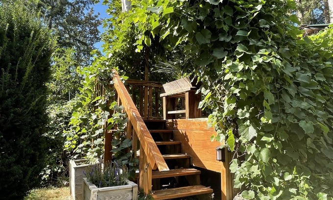 Brew Bay Cottage | Grapevine Cottage - Rustic tiny self-contained cottage and deck for single guest