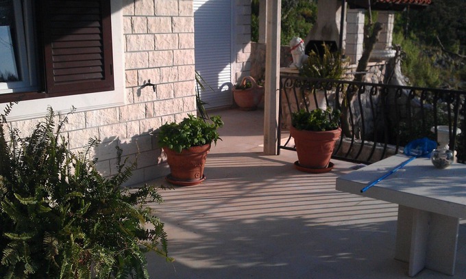 Veliki Drvenik House | Great house by the sea with gorgeous clean sea in front