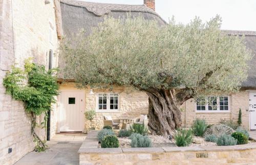 Twywell Bed & Breakfast | Greystone Guesthouse