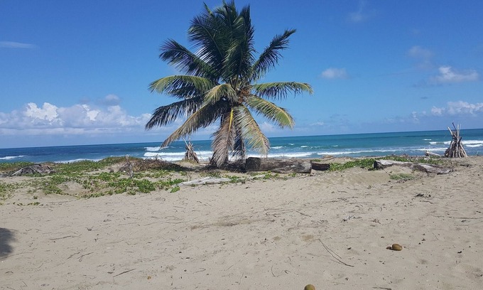 Cabarete Apartment | Ground floor B&B room/bathroom on the beach, breakfast included!