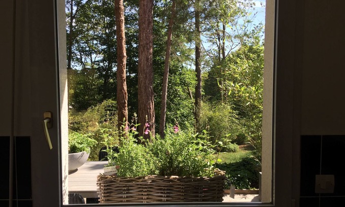 Hardelot-Plage House | Guest house les écureuils
