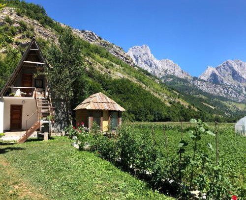 Kukes County House | Guest House Ledio