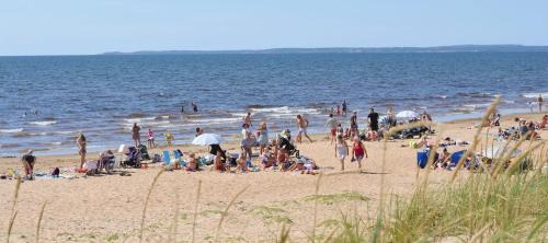 Eldsberga Resort | Gullbrannagården