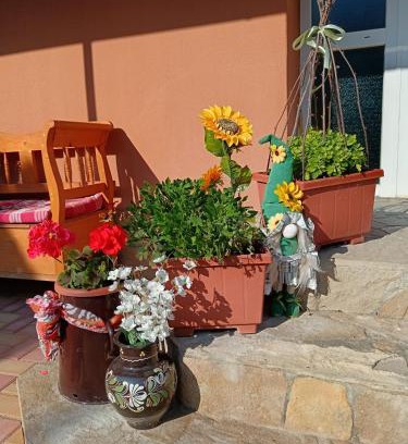 Mako Apartment | Hársfa apartman
