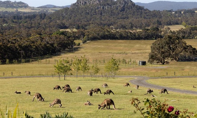 Woodend Bed & Breakfast | Hanging Rock Views