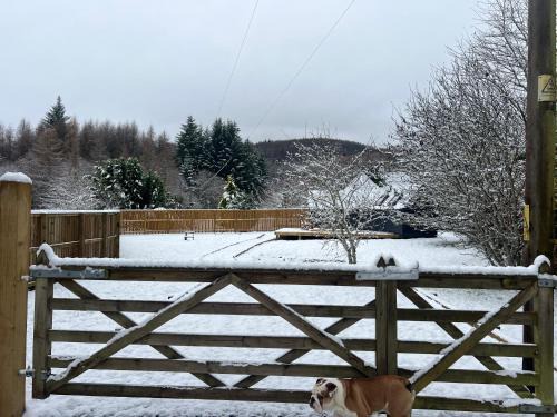 Murthly Ski Chalet | Hatton Lodge