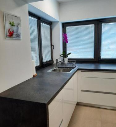 Zaga Apartment | Hiša Špuntar