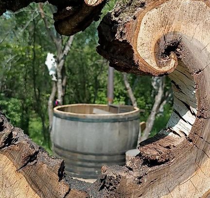 Vultureni Other | Hidden Garden Kide(Chidea)