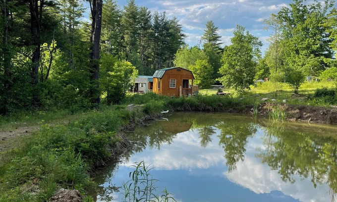 East Durham Cabin | HideAway Tiny Cabin. In the Mountains AC Bathroom. Shower. nDog Friendly.