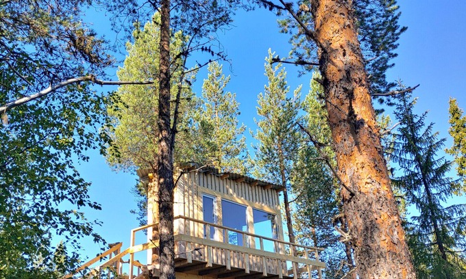 Arvidsjaur House | High in the trees in northern Sweden with lake views and moose under the terrace