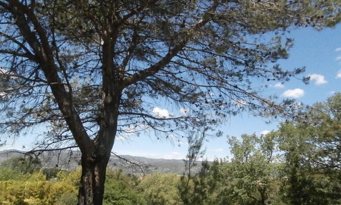 Aniane Apartment | Hill of Pines - ANIANE