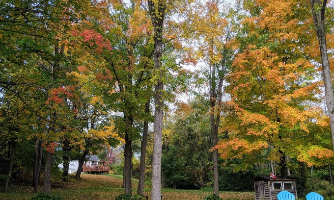 Montague Cottage | Historic Rideau Canal Cottage by the Locks (Nest by the Locks)