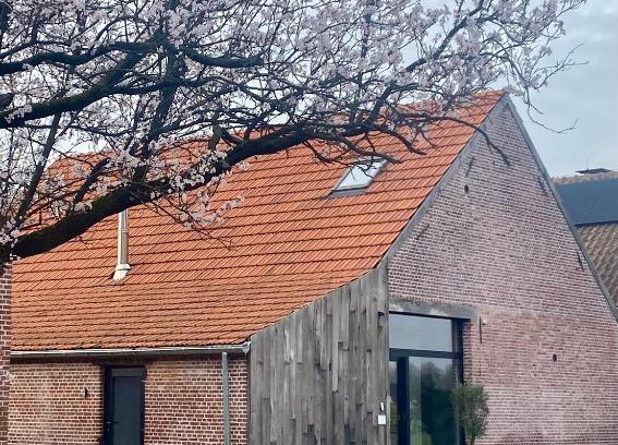 Dessel House | Hoeve De Kleinheide