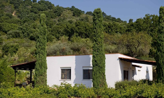 Palinuro Apartment | Holiday apartment surrounded by Mediterranean nature with grill