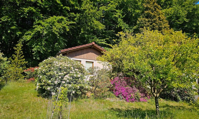 Steina House | Holiday Home by the Forest with South-Facing View