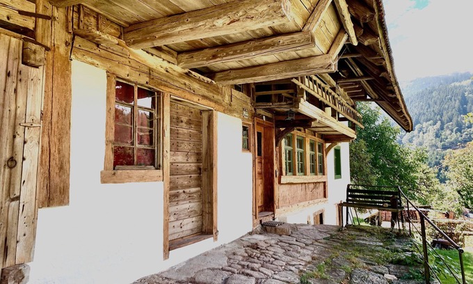 Elzach House | Holiday Home 'Ferienhaus Hederle' with Mountain View, Private Terrace and Wi-Fi