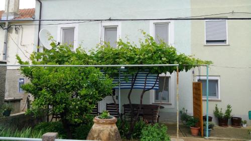 Olib House | Holiday Home Olib