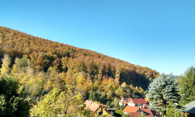 Winterstein House | Holiday house "Haus Sommerstieg" in the middle of the Thuringian Forest